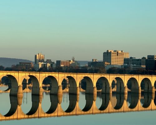 LocalDutch opens USA office