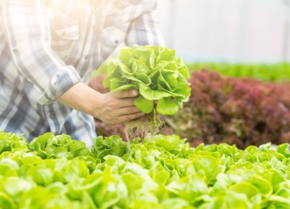Flexible produce