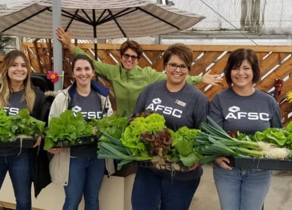 Urban Farm Shop Community